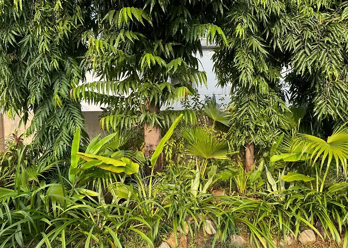 The Bougainvillea Cottage - Private 2Br Farm-Stay With Hill And Orchard Views Dehradun