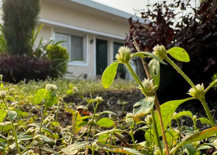The Bougainvillea Cottage - Private 2Br Farm-Stay With Hill And Orchard Views Dehradun